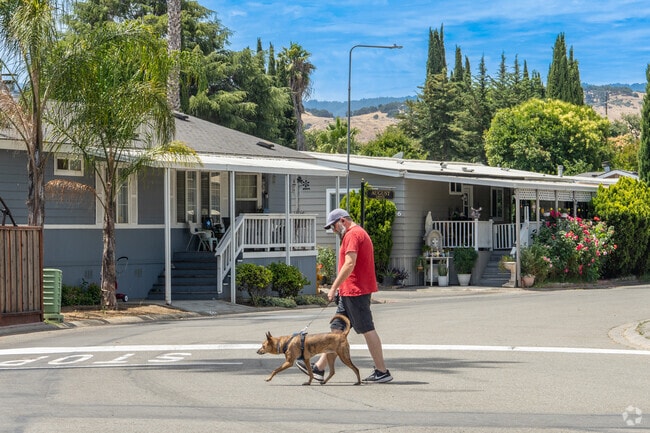 A man walks his dog back home from the park in Silver Leaf.