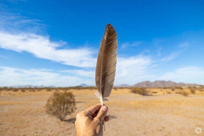 Keep an eye out in Gila Bend for some desert wildlife.