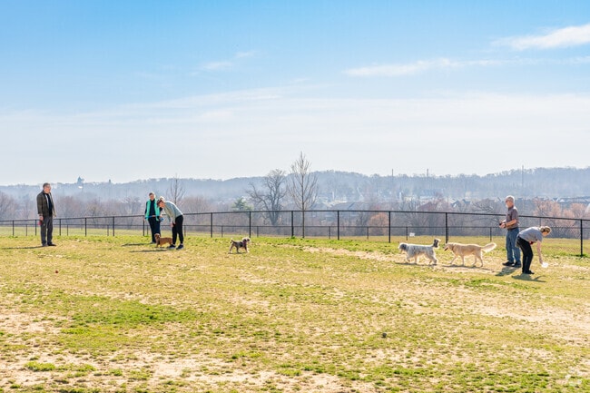 Exton Dog Park near East Whiteland is a safe space for dogs and owners to socialize.