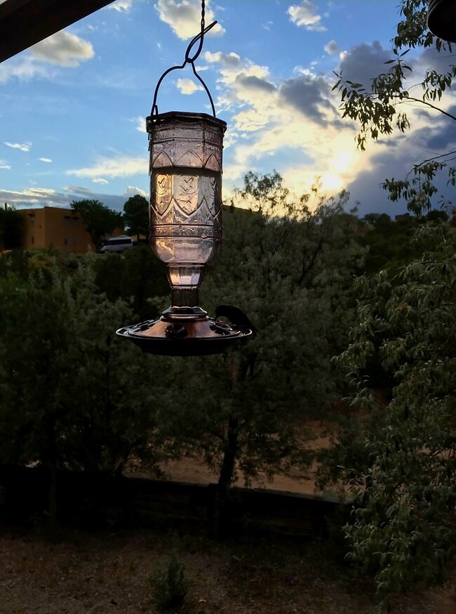 Balcony, Nature Trail, Wildlife