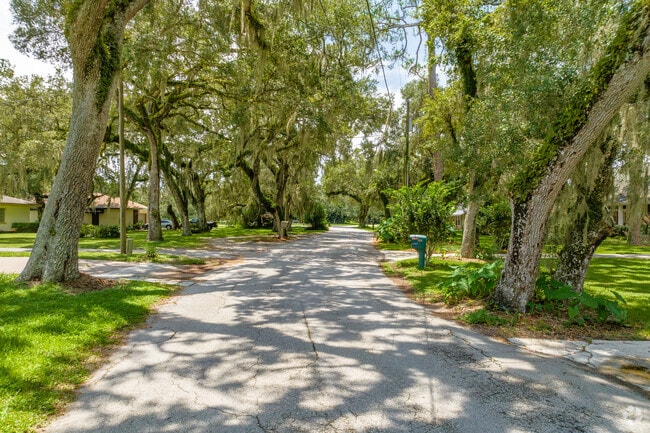 An afternoon drive along the oak shaded streets in Ridge Manor.
