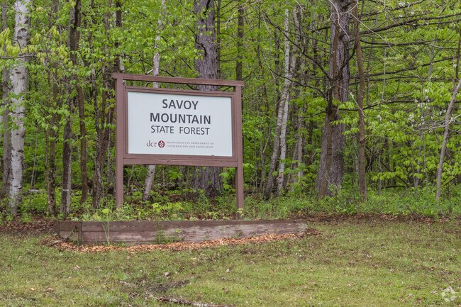 Savoy Mountain State Forest is divided between Florida and Savoy with many trails meandering between the towns.