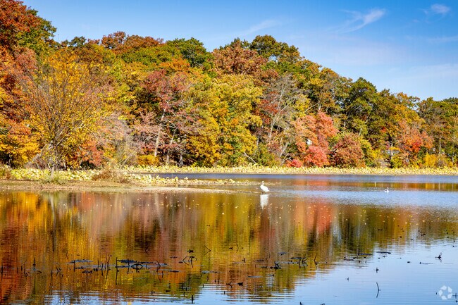 Explore vibrant fall foliage over the water at Meshanticut State Park in Meshanticut, RI.