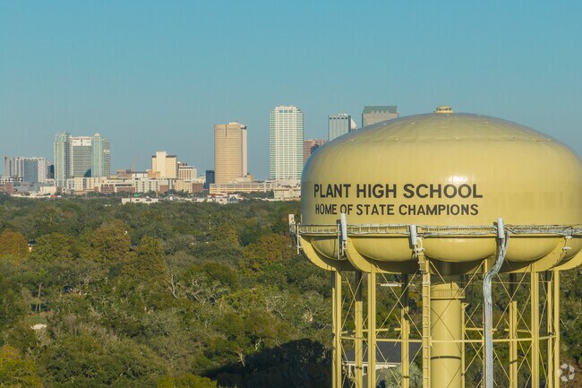 Plant High School is home to State Champions.
