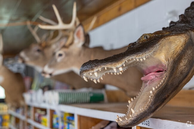 Locals head to Cherry Bend Grocery for eclectic rural vibes in Greilickville.