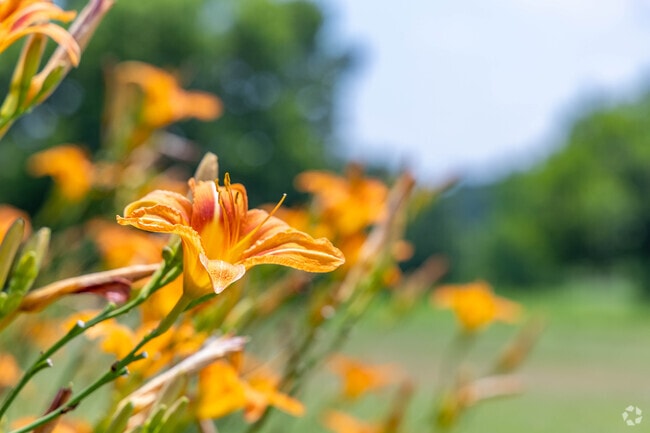 Beauty can be found in all shapes and sizes throughout Colerain Township.