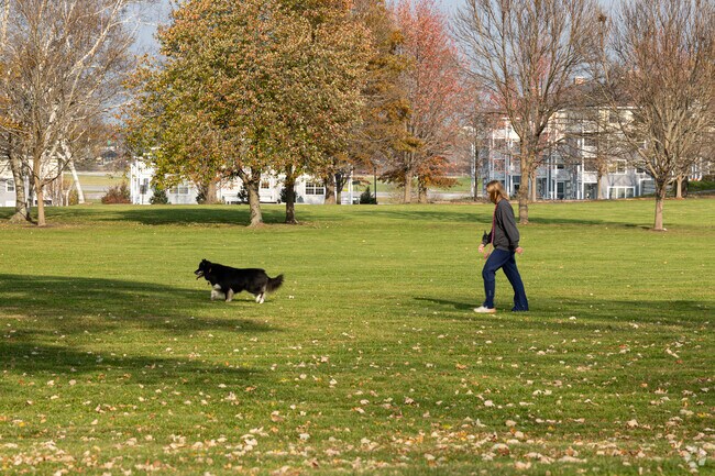 Redbank is a dog-friendly neighborhood.