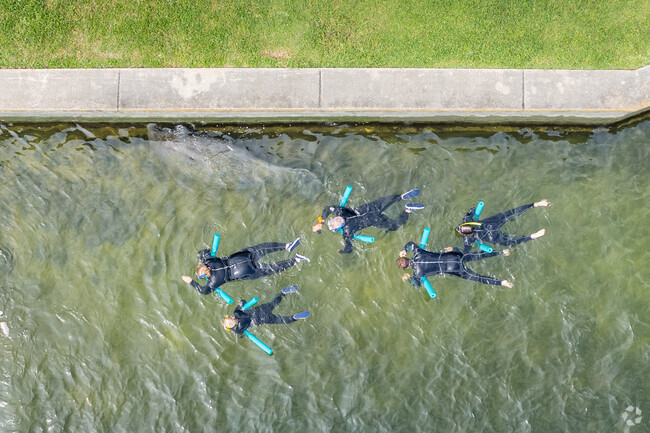 Near Beverly Hills you can swim with the Manatees in Crystal River.