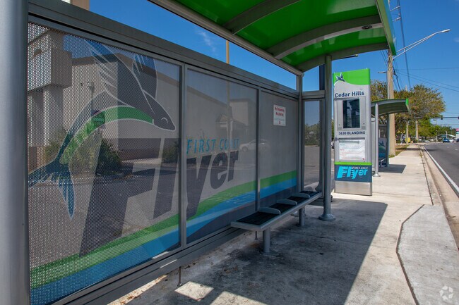 Buses are the main mode of public transportation in the Cedar Hills neighborhood.
