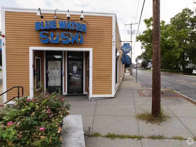 Blue Water Sushi is Ludlow's spot for some raw fish and Japanese food.