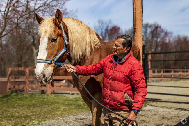Take horse riding lessons at Garret Equestrian Center in the south of Albion.