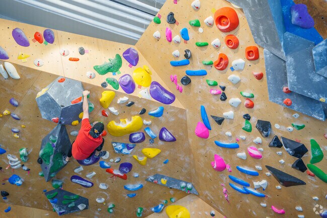 Test your grip strength at Rock Spot Climbing in downtown Malden near Belmont.