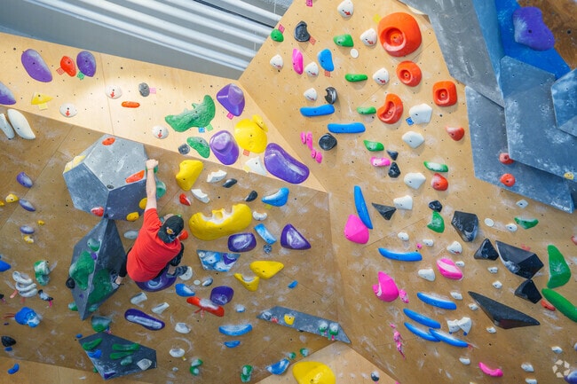 Test your grip strength at Rock Spot Climbing in downtown Malden near Belmont.