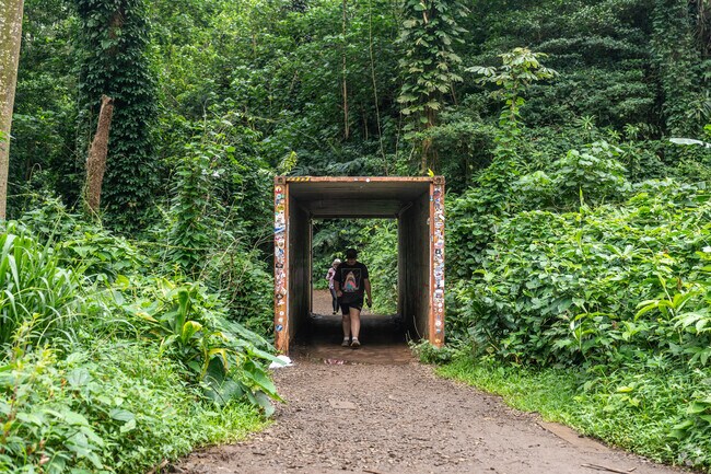 Manoa Valley is a treasure trove of natural wonders, waiting to be explored and admired.