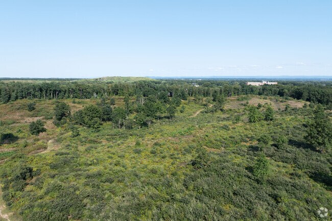 The Dunes neighborhood is interconnected to the Pine Bush Preserve and most homes connect to it.
