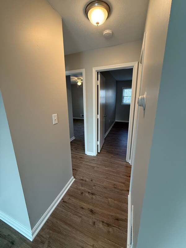 2055 Peabody Ln unit 3, Louisville, KY 40218 - photo 5
