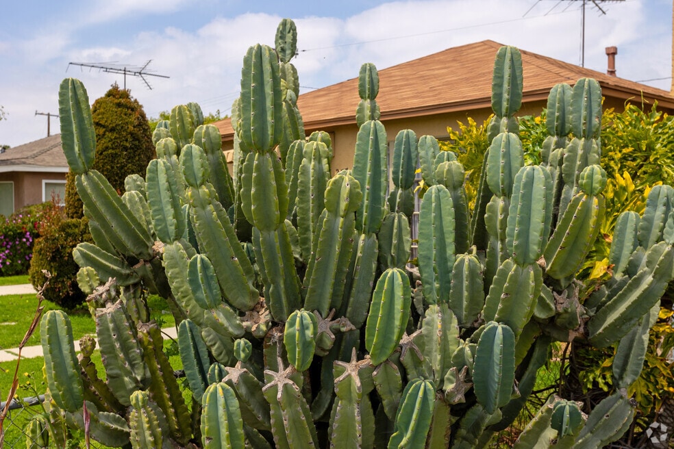 NH_CollegeSquare_545371_P2_V1_AG_0624