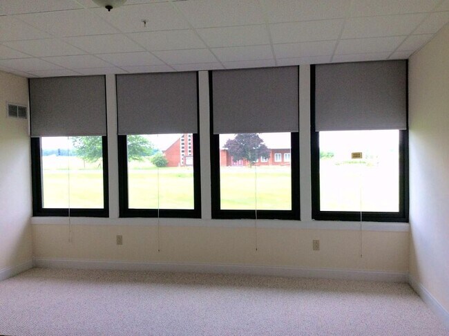 living room windows