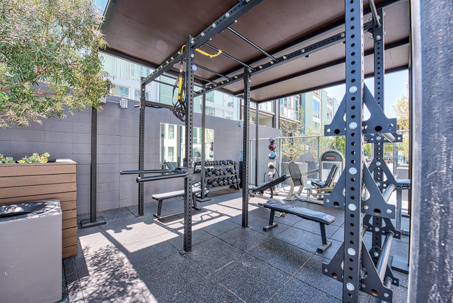 Outdoor Gym