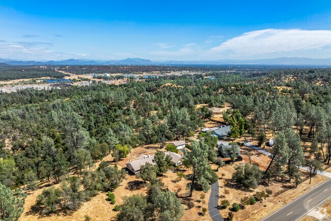 There is many natural tree covered areas in Happy Valley.