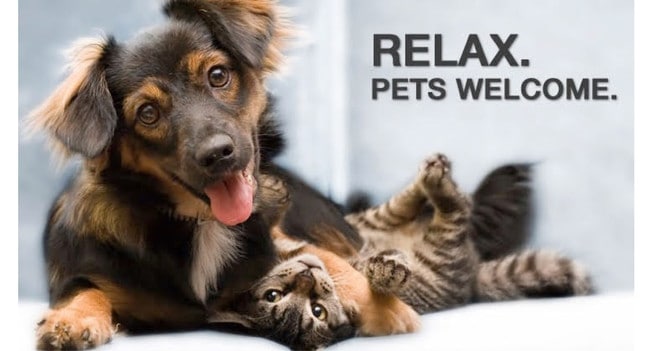 Dogs & Cats Welcome!!!**