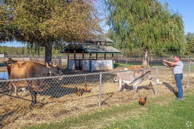 Take the family to visit the farm animals at Merced Fruit Barn in Southeast Merced.