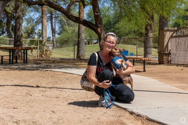 Miko's Corner Dog Park at Reid Park near San Clemente is a hotspot for it's small and big dog areas.