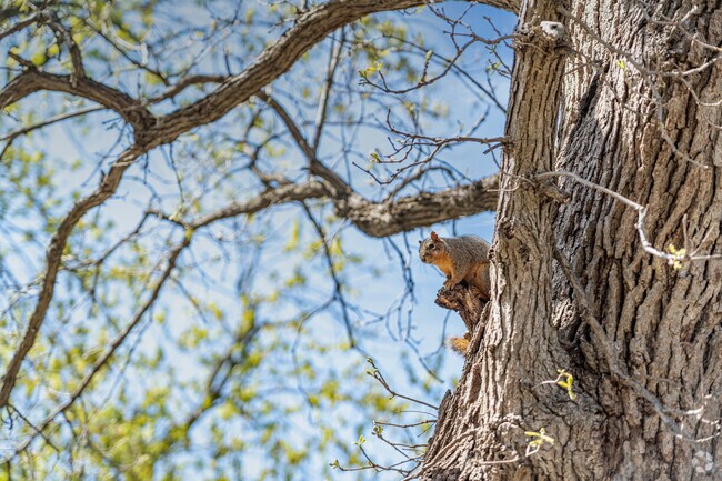 Residents of Whalon Lake love getting outside and enjoying nature and the local wildlife.