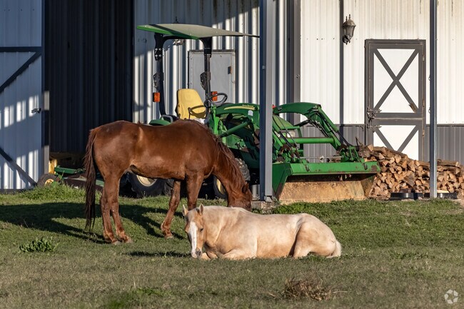 Liberty offers the ideal blend of expansive rural landscapes and cozy small-town appeal.