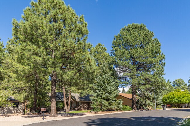 Elk Run residents are surrounded by nature and can often watch Elk pass through their yards.