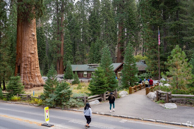Visalia residents enjoy the short trip to visit the giant Redwood trees in the Sequoias.