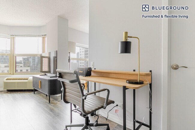 8 W Chestnut St unit FL13-ID1227, Chicago, IL 60610 - photo 5