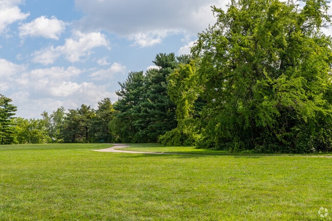 Willys Park in Five Points, Toledo, Ohio.