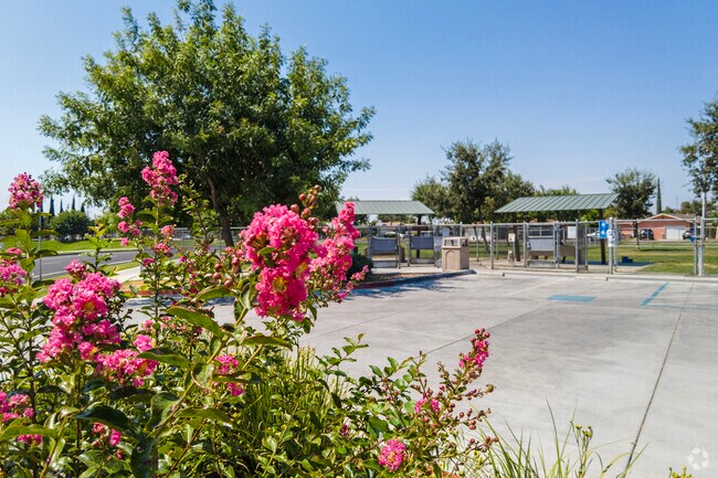 Colorful flowers bloom in the Mayfield neighborhood.
