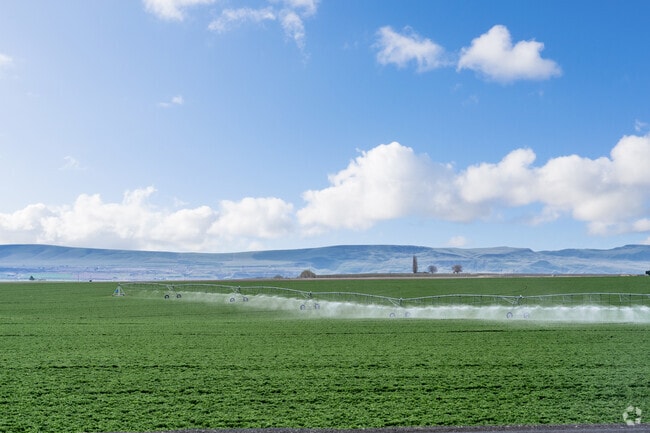 Agriculture is one of the largest industry drivers of Othello.