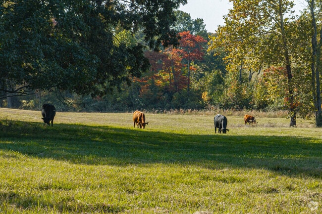 The area around Wood Trace is made up of farms and ranches.