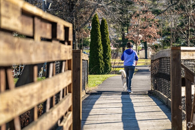 A resident of Georges Township Fayette takes her dog for a walk on a sunny day.