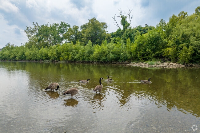 The Olentangy River runs along Linworth Village.