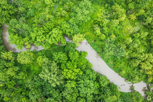 Salt Creek winds through South Haven and is a favorite spot for fishing and scenic views.