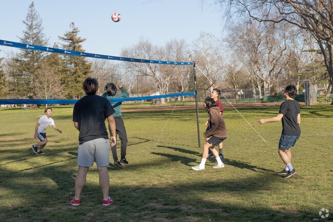 Set up a net and play a game of volleyball at Tahoe Park.