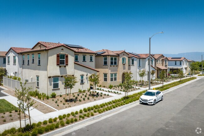 A new community with drought resistant landscaping seen in West Redlands.