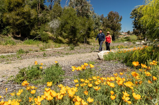 Paradise Hill's native garden is a beautiful place to stroll and take in the native Poppies.