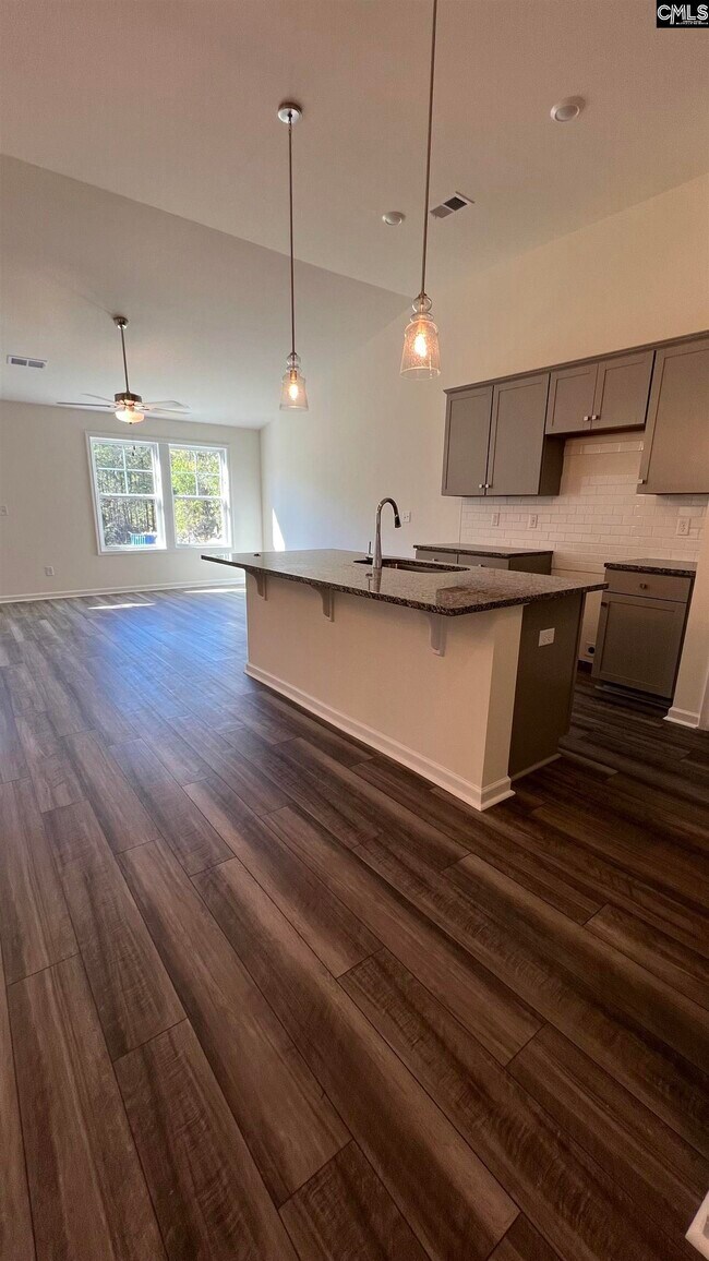 121 Prairie Grass Way, Columbia, SC 29212 - photo 6