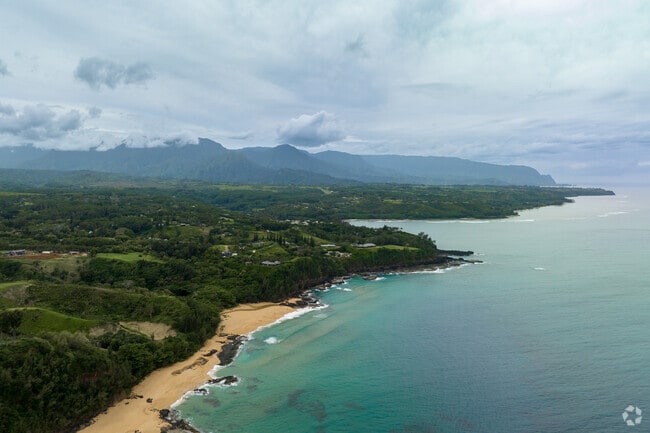 Kauapea Beach in Kilauea is a wild, untouched gem where dramatic cliffs meet the Pacific and monk seals rest along the shore.