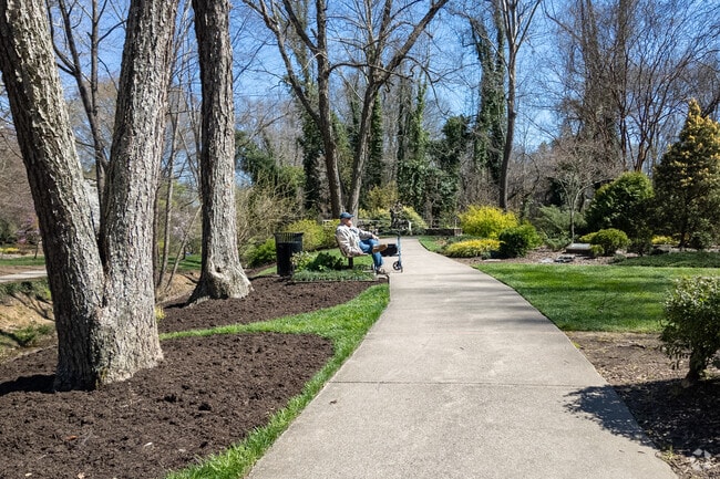 Tanger Garden's serene beauty captivates an elderly observer.