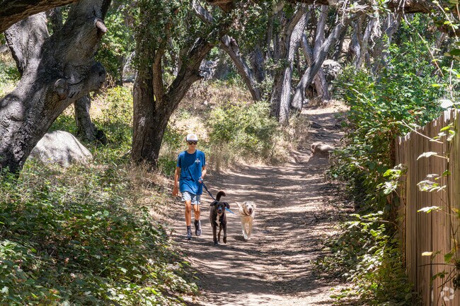 A Highland resident enjoys walking his dogs around the trails of Bishop Peak.