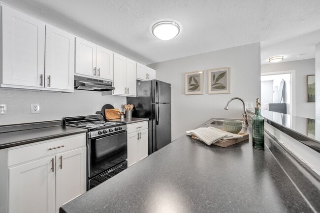 The Meadows, Chelmsford, MA 01824 - photo 2