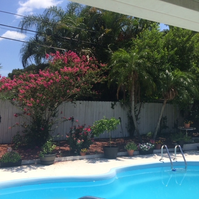 1831 Kay Dr, Largo, FL 33770 - photo 3