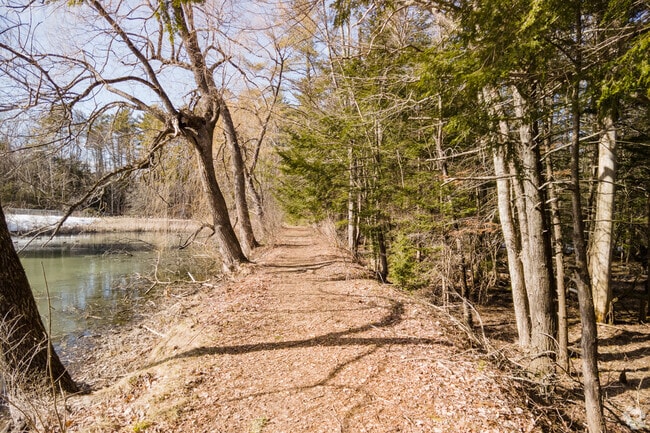 Nature lovers in Little Falls enjoy Hawkes Preserve’s riverside paths and peaceful forest setting.