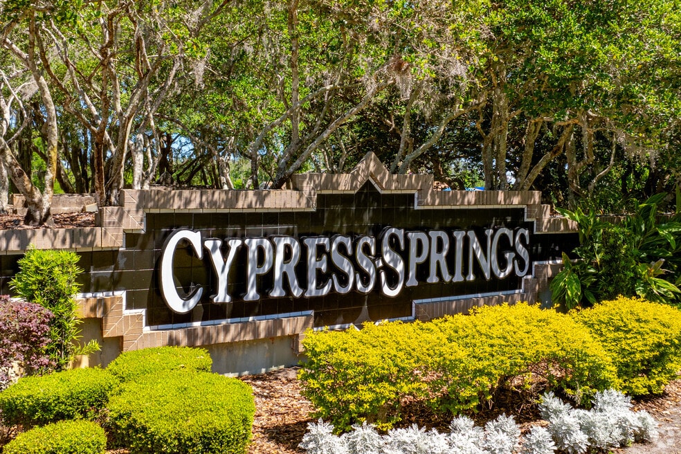 Cypress Springs